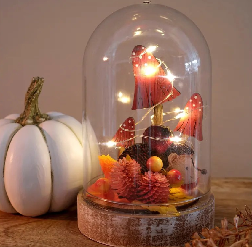 L’autunno è già qui: da Bonprix trovi decorazioni autunnali super chic a meno di 30 € L’autunno è già qui: da Bonprix trovi decorazioni autunnali super chic a meno di 30 €