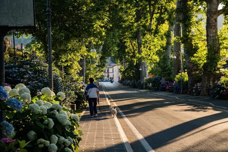 Strada città
