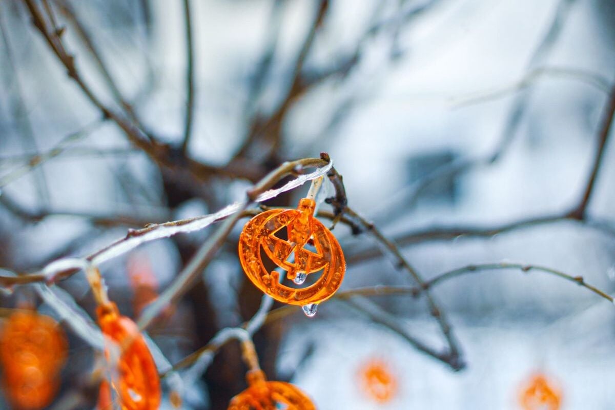 Zucca albero di Halloween Zucca albero di Halloween