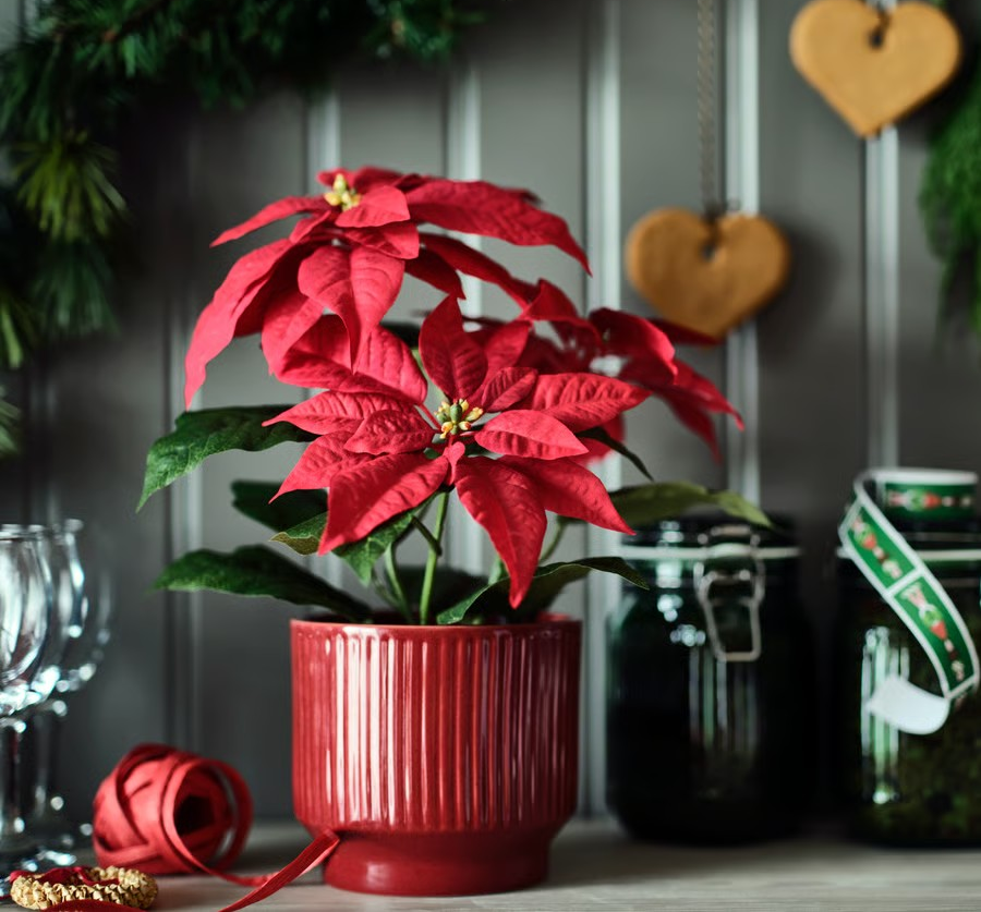 catalogo Natale IKEA 2026 catalogo Natale IKEA 2026