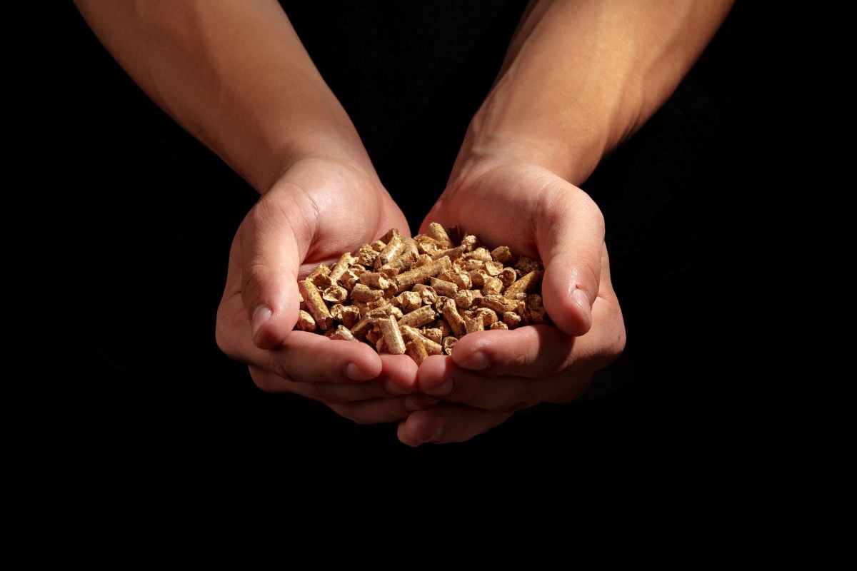 Pellet canadese Tecnomat