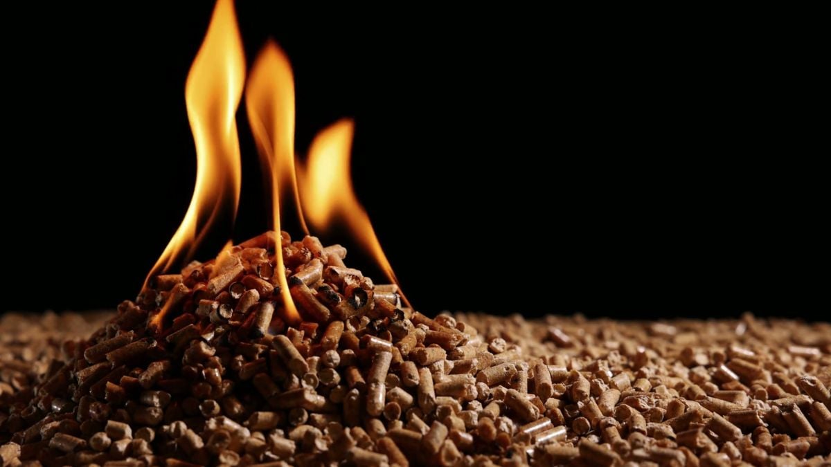 combustibile pellet canadese 
