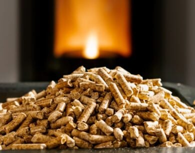 Pellet canadese da Tecnomat a 7,99 €: cosa sapere prima di fare scorta